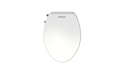 BG3100-NEE