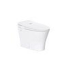 BG3120 KF – Non-Electric Bidet Toilet with Dual Flush Feature