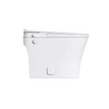 BG3120 KF – Non-Electric Bidet Toilet with Dual Flush Feature