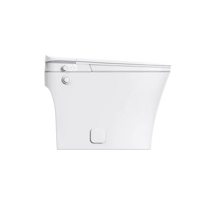 BG3120 KF – Non-Electric Bidet Toilet with Dual Flush Feature