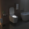 BG 2500WH
